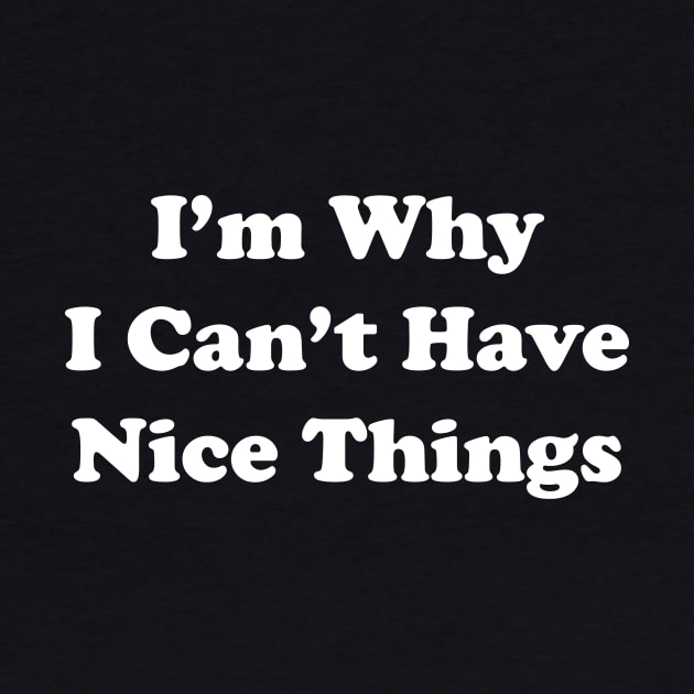 I'm Why I Can't Have Nice Things by dumbshirts